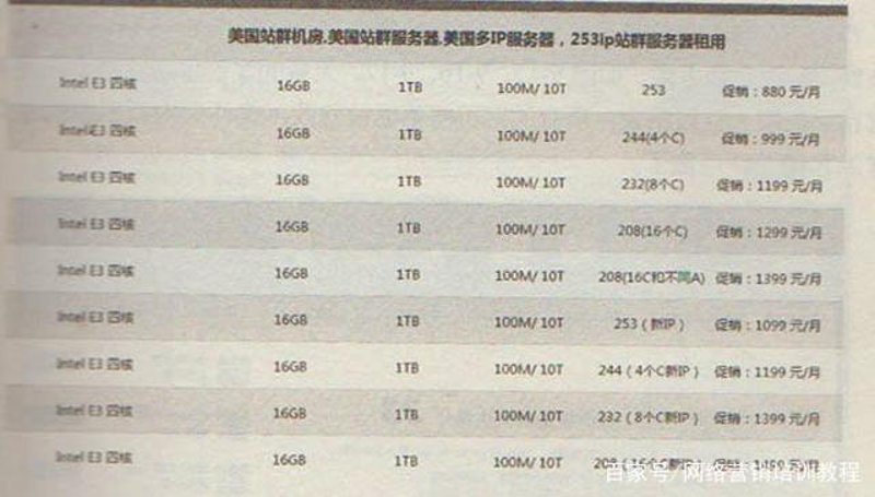 站群系统的崛起与应用
