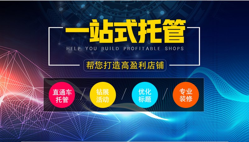 站群系统的崛起与应用